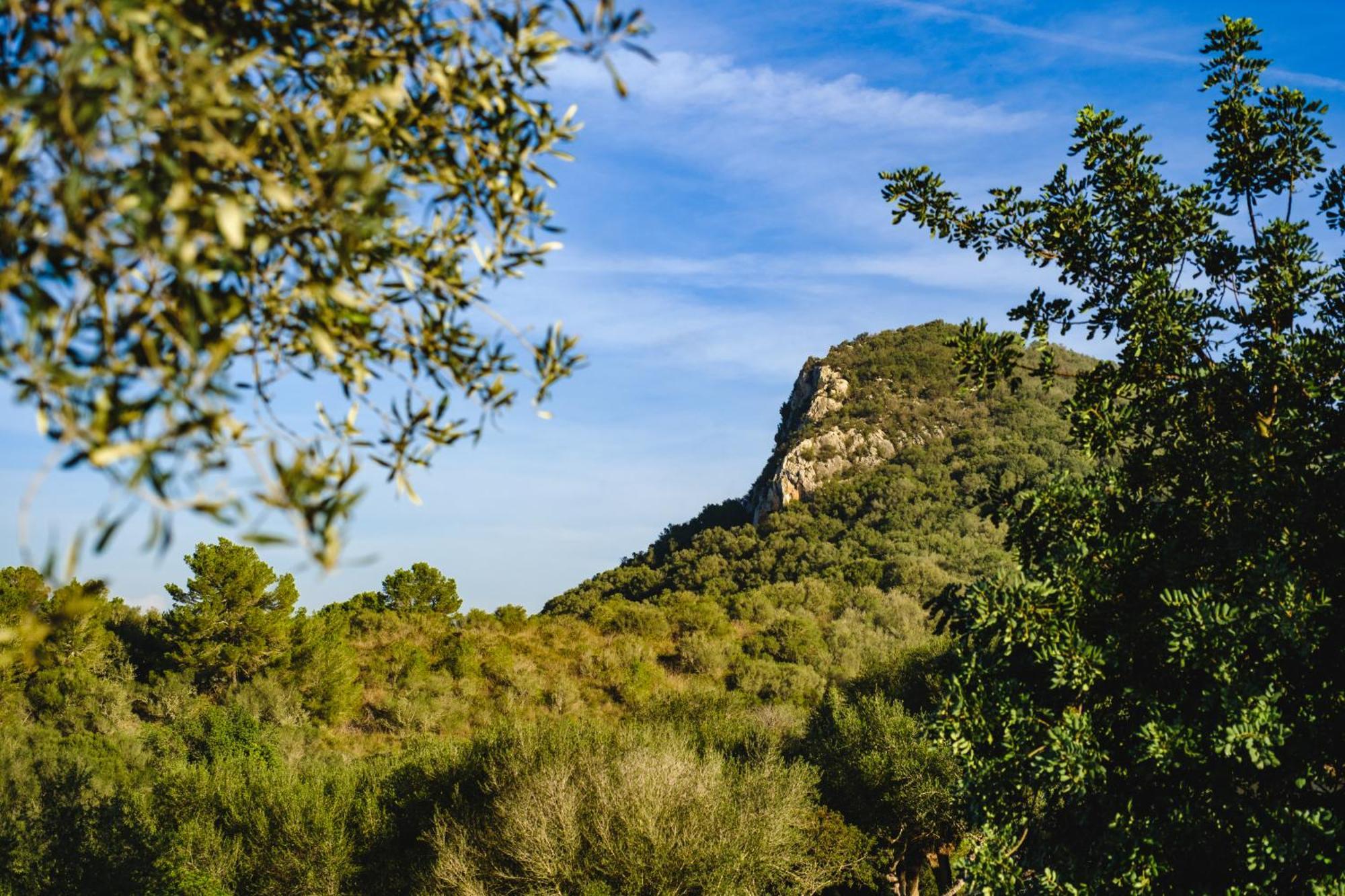 Sa Bastida Luxury Retreat & Adults Only Hotell 4*