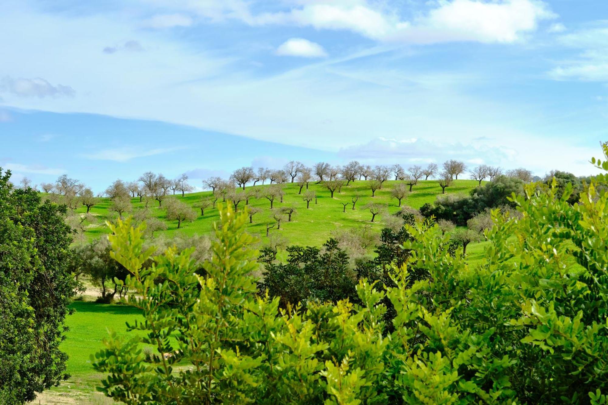Hotell Sa Bastida Luxury Retreat & Adults Only Sant Joan